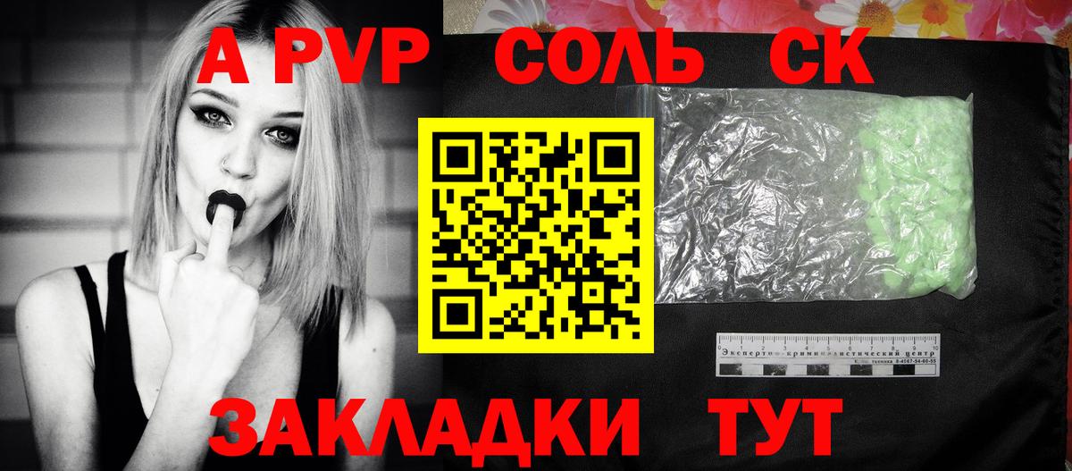 Курчалой  Альфа ПВП СК  A PVP СК  Вход с VPN 