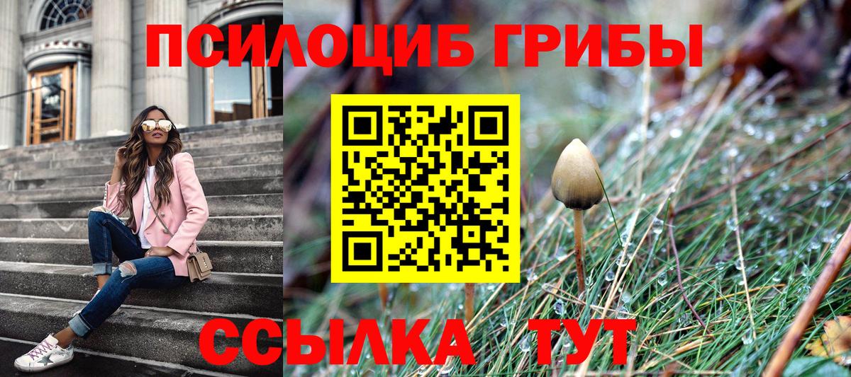 Курчалой  Псилоцибиновые грибы мицелий  Вход с VPN 